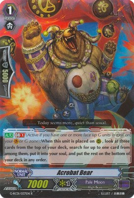 Acrobat Bear (G-RC01/037EN) [Revival Collection] - PokeCharles PokeStore