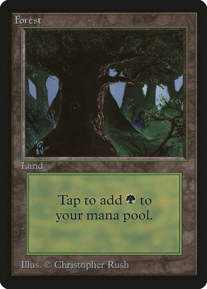 Forest (302) [Beta Edition] - PokeCharles PokeStore