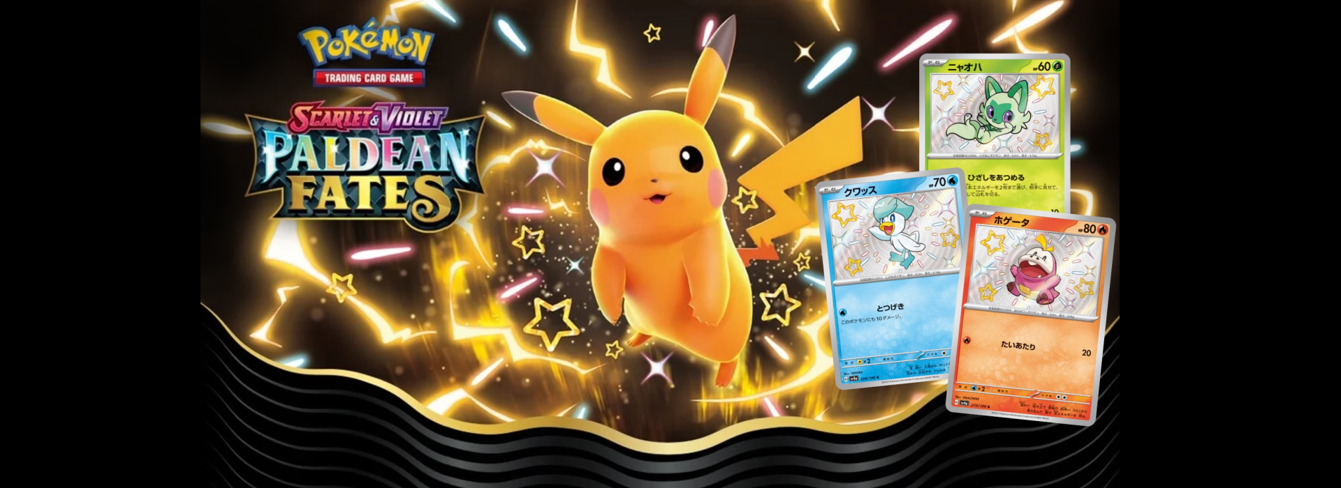 PokeCharles Cards & Collectibles PokeCharles Cards & Collectibles